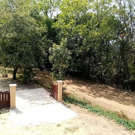 Chalet El Cant Dels Ocells Fillols Eksteriør bilde
